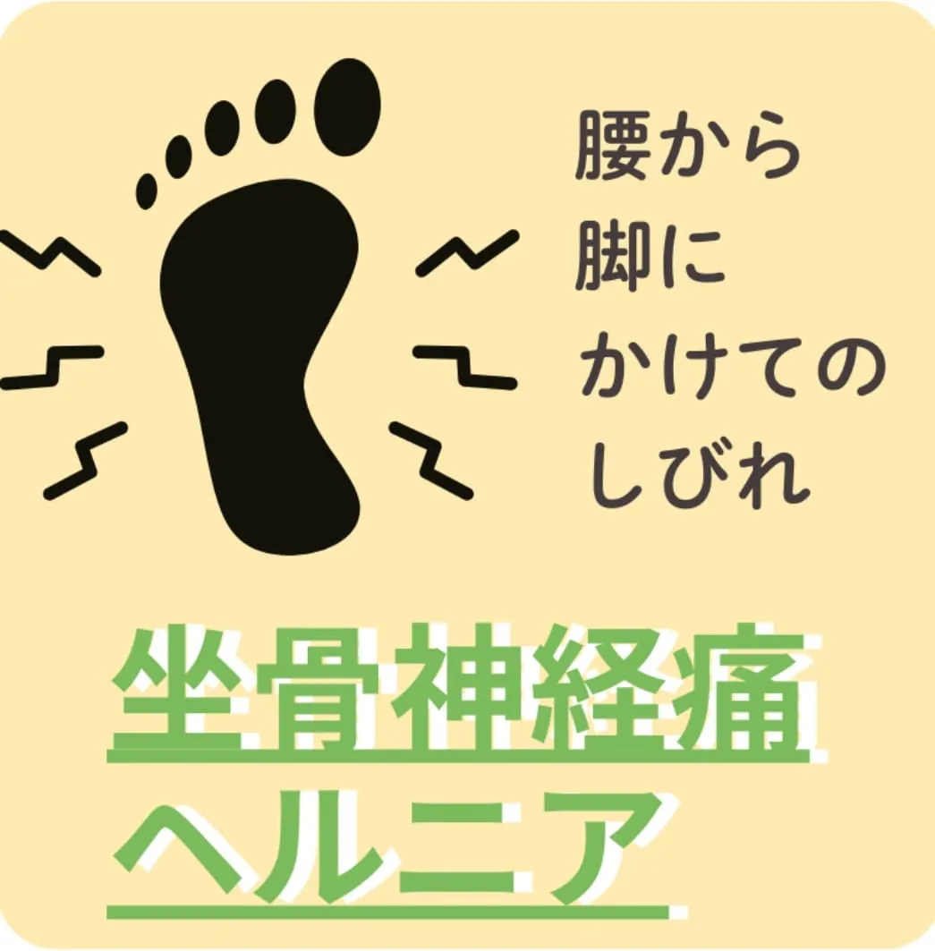 ヘルニア・坐骨神経痛